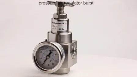 Xhnotion Pneumatic G1/4′ ′ SS316 Stainless Steel Air Pressure Regulator